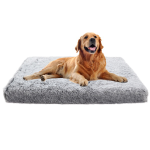 lit pour chien, gris , avec un chien marron installé dessus, et présenté sur fond blanc