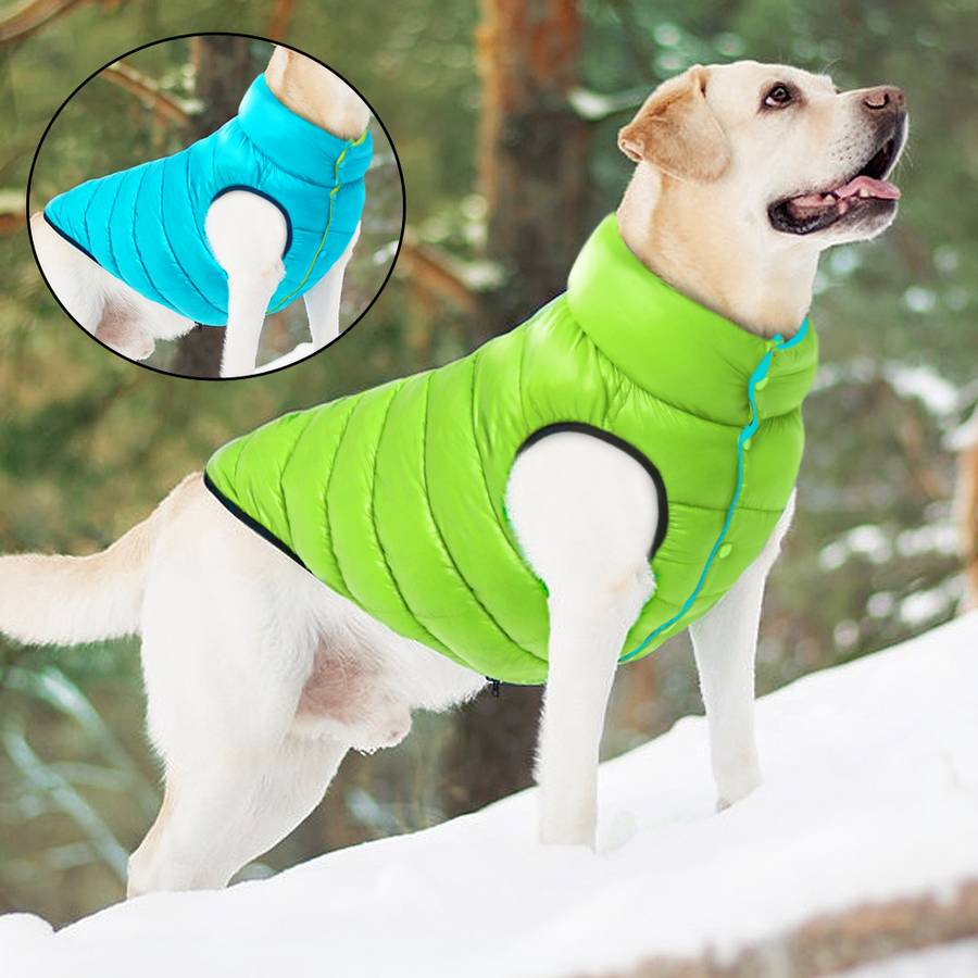 Veste en duvet pour chiens - ABC chiens