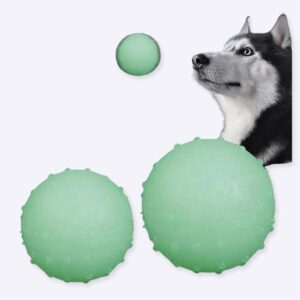 3 balles brillantes de différentes tailles, une S et une M, et en bas sur fond blanc une balle blanche avec un chien noir et blanc.