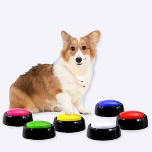 un gros chien beige et 3 boutons de couleurs, rose, turquoise et orange