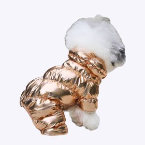 petit caniche blanc de dos porte une doudoune pour chien intégrale dorée et fashion