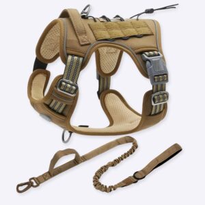 Harnais tactique pour petits et grands chiens avec laisse, le modèle est montré vide en haut à droite, puis à gauche porté par un gros chien