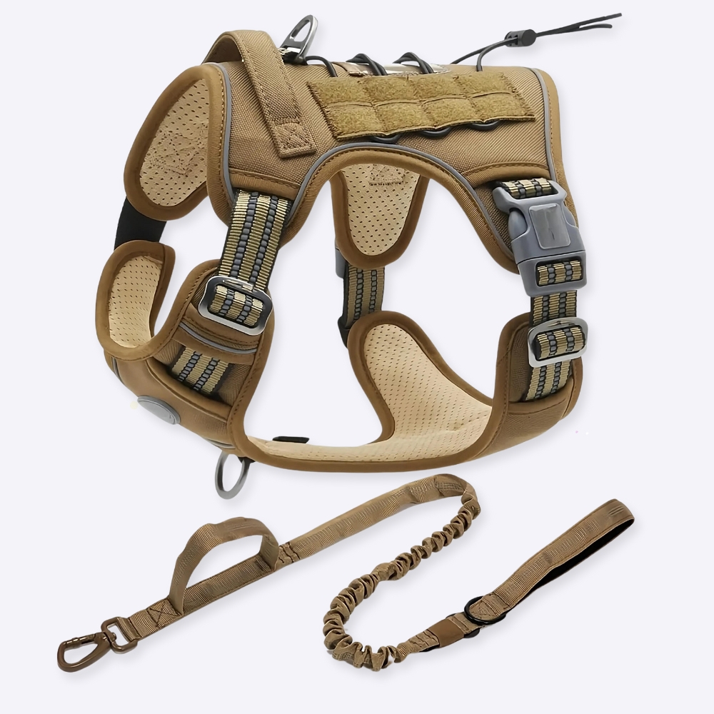 Harnais tactique pour petits et grands chiens avec laisse, le modèle est montré vide en haut à droite, puis à gauche porté par un gros chien