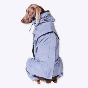 un chien de taille moyenne habillé d'un vêtement de pluie gris