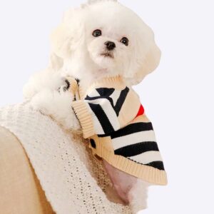 Un chien portant un pull à motif rayé dans un canapé