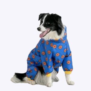 Un chien posant pour la photo dans un décor blanc et portant un imperméable bleu à motifs rouges.