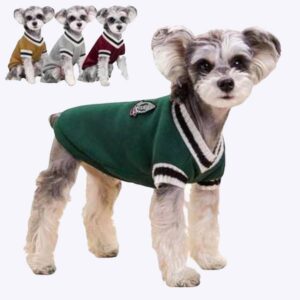 Un petit chien pose avec un pull en col V de couleur verte. Ce même chien est représenté trois fois en petits en haut à gauche de l'image avec ce pull en couleurs différentes.