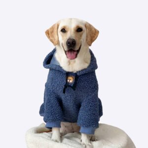 Un labrador sur une chaise portant un sweat à capuche en moumoute de couleur bleue.